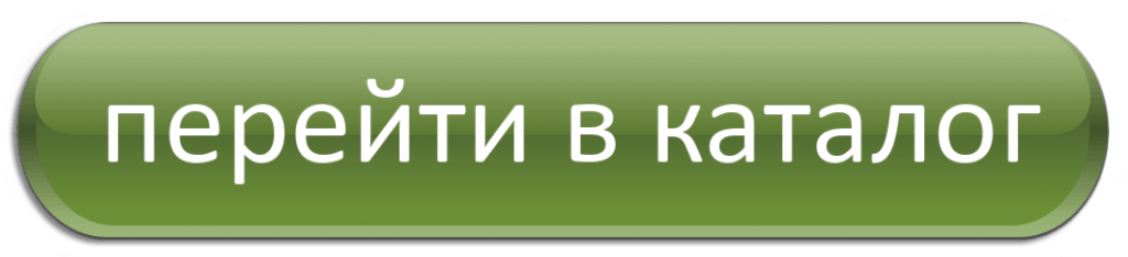 кнопка перейти в каталог.png