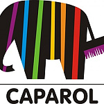 Новинка! Товары для строительства и ремонта Caparol и Capatect